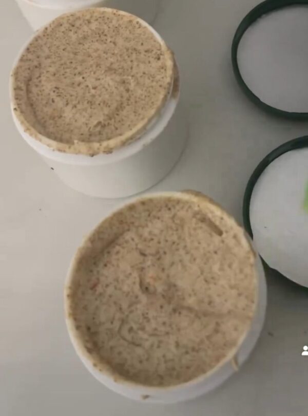 Big Beauty Brown Sugar Mango Papaya Facial Scrubs - Image 3